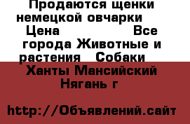 Продаются щенки немецкой овчарки!!! › Цена ­ 6000-8000 - Все города Животные и растения » Собаки   . Ханты-Мансийский,Нягань г.